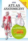 Atlas anatomiczny 3 plakaty gratis