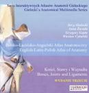 Polsko-Łacińsko-Angielski Atlas Anatomiczny Kości, Stawy i Więzadła CD