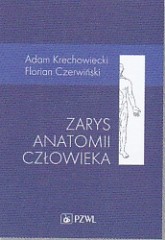 Zarys anatomii człowieka