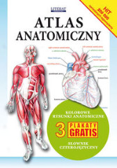 Atlas anatomiczny 3 plakaty gratis