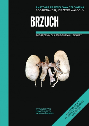 Anatomia prawidłowa człowieka Brzuch