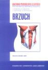 Anatomia prawidłowa człowieka Brzuch