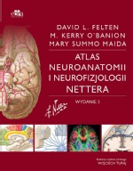 Atlas neuroanatomii i neurofizjologii Nettera wyd.3