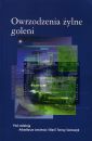 Owrzodzenia żylne goleni