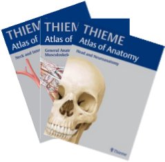 PROMETHEUS Atlas of Anatomy (Eng.)