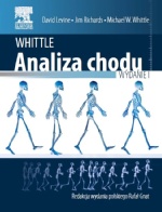 Whittle. Analiza chodu