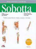 Atlas anatomii człowieka Sobotta Tablice anatomiczne mięśni stawów i nerwów łacińskie mianownictwo