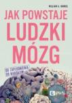 Jak powstaje ludzki mózg Od zapłodnienia do narodzin