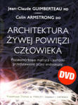 Architektura żywej powięzi człowieka