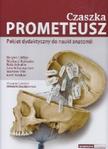 Czaszka PROMETEUSZ - Pakiet dydaktyczny do nauki anatomii