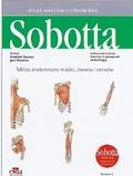 Atlas anatomii człowieka Sobotta Tablice anatomiczne mięśni, stawów i nerwów Angielskie mianownictwo