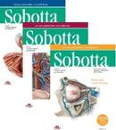Atlas anatomii człowieka Sobotta łacińskie mianownictwo Tom 1-3