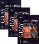 GRAY ANATOMIA. PODRĘCZNIK DLA STUDENTÓW. TOM 1-3