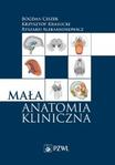 Mała anatomia kliniczna