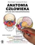 Anatomia człowieka Atlas do kolorowania