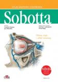 Atlas anatomii człowieka Sobotta cz. 3 angielskie mianownictwo anatomiczne Głowa, szyja i układ nerwowy
