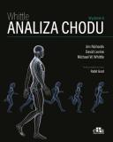 Whittle. Analiza chodu