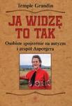 Ja widzę to tak Osobiste spojrzenie na autyzm i zespół Aspergera