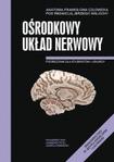 Anatomia prawidłowa człowieka Ośrodkowy układ nerwowy