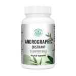 G-andrographis-ekstrakt-suplement-diety-rawforest_24270_150x190