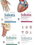 Atlas anatomii człowieka Sobotta. Tom 1-3 + Tablice anatomiczne mięśni, stawów i nerwów