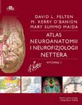 Atlas neuroanatomii i neurofizjologii Nettera wyd.3