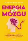 Energia dla mózgu