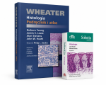 G-histologia-2_30354_150x190