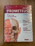 PROMETEUSZ Atlas anatomii człowieka Tom III Głowa szyja i neuroanatomia Nomenklatura łacińska i polska DEFEKT
