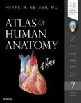 Atlas of Human Anatomy - mianownictwo w języku angielskim