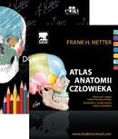 Atlas anatomii człowieka Nettera Łacińskie mianownictwo anatomiczne + Anatomia Nettera do kolorowania wyd. 2