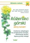 Różeniec górski złoty korzeń Cudowny adaptogen na zwiększenie energii eliminację stresu lepszą pracę mózgu i wiele innych