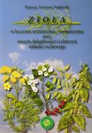 G-ziola-w-leczeniu-artretyzmu-reumatyzmu-oraz-innych-dolegliwosci-i-schorzen-ukladu-ruchowego_7968_150x190