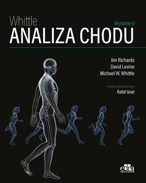 Whittle. Analiza chodu