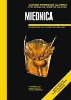 Anatomia prawidłowa człowieka Miednica
