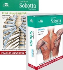 Anatomia Sobotta Flashcards Kości, stawy i więzadła oraz Mięśnie. Polskie KOMPLET