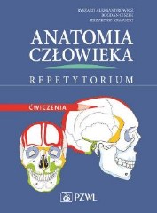 Anatomia człowieka Repetytorium Ćwiczenia