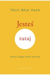 Jesteś tutaj Odkryj magię chwili obecnej