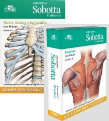 Anatomia Sobotta Flashcards Kości, stawy i więzadła oraz Mięśnie. Łacińskie KOMPLET