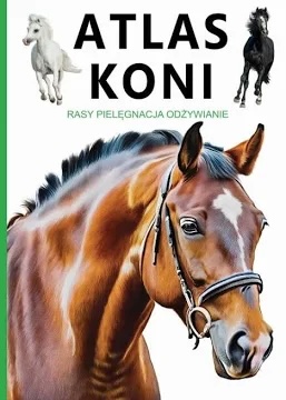 Atlas koni