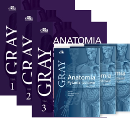 Gray Anatomia. Podręcznik dla studentów. Tom 1-3 + pytania testowe 1-3