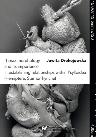 Thorax morphology and its importance