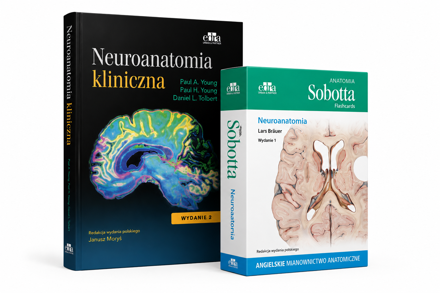 Neuroanatomia kliniczna + Anatomia Sobotta Flashcards. Neuroanatomia Angielskie mianownictwo anatomiczne