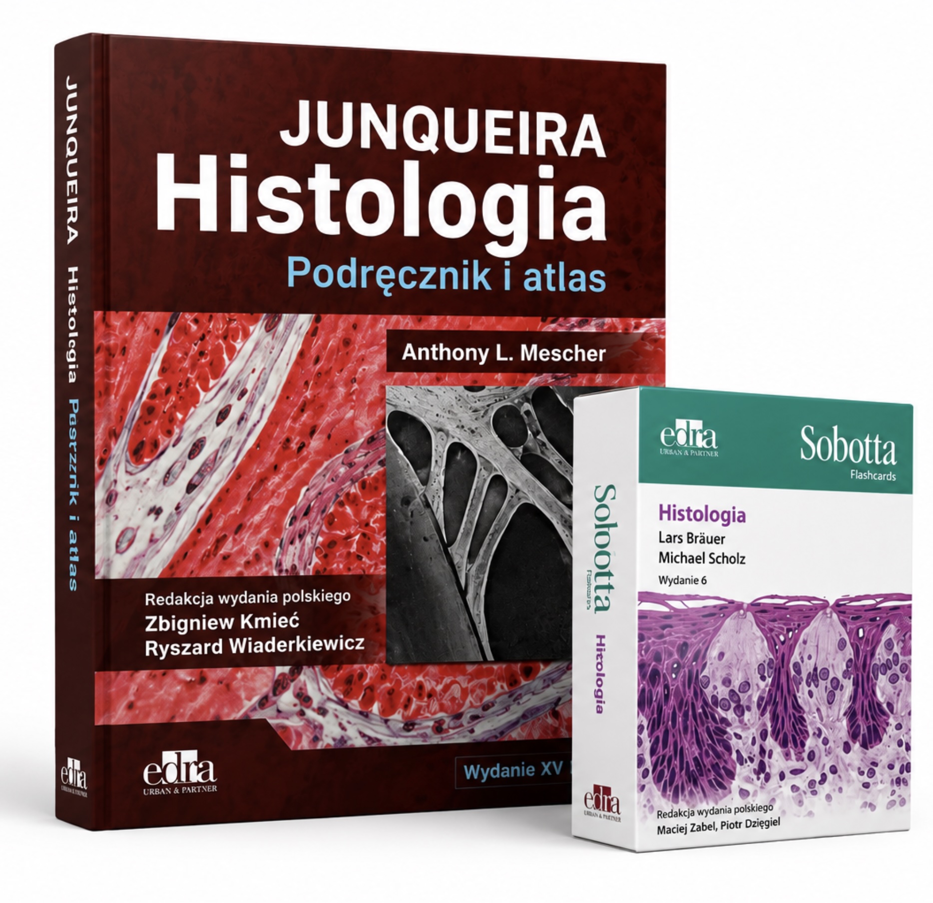 Histologia Junqueira Podręcznik i atlas + Sobotta Flashcards Histologia