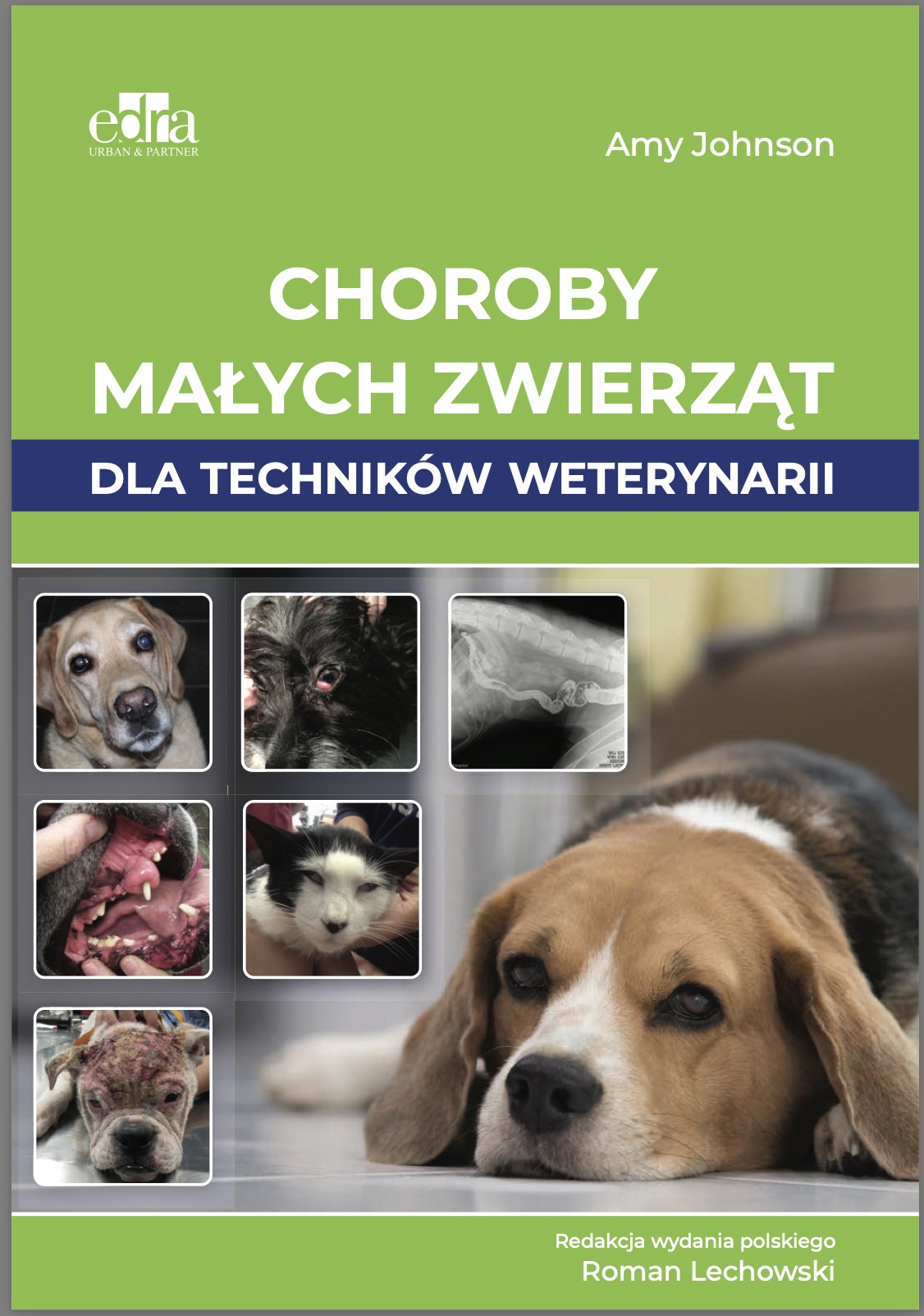 Choroby małych zwierząt dla techników weterynarii