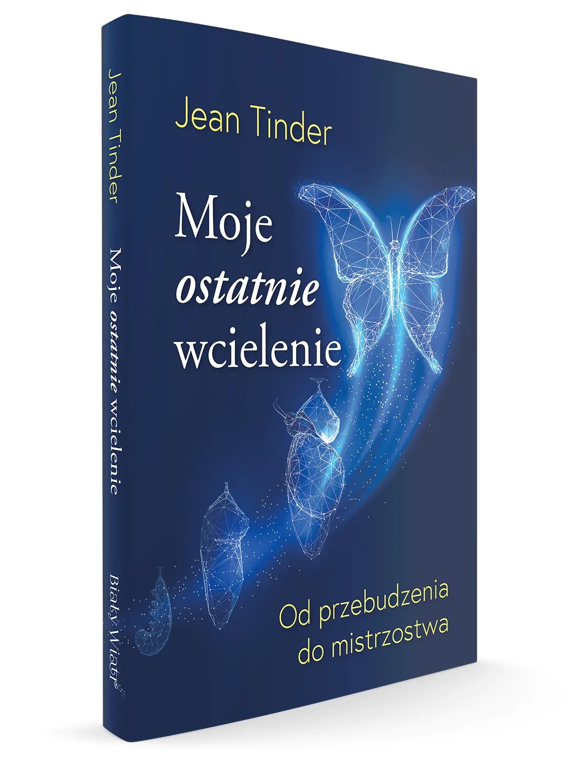Moje ostatnie wcielenie
