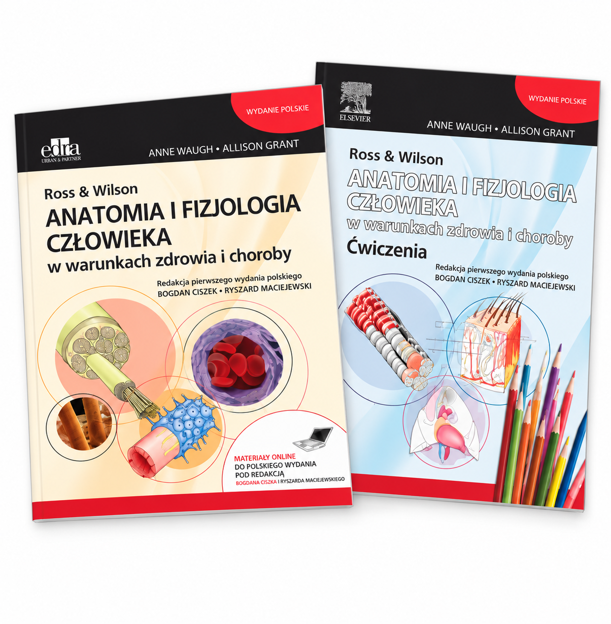 Ross & Wilson Anatomia i fizjologia człowieka w zdrowiu i chorobie. Podręcznik + ćwiczenia.